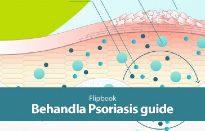 PSO Guide