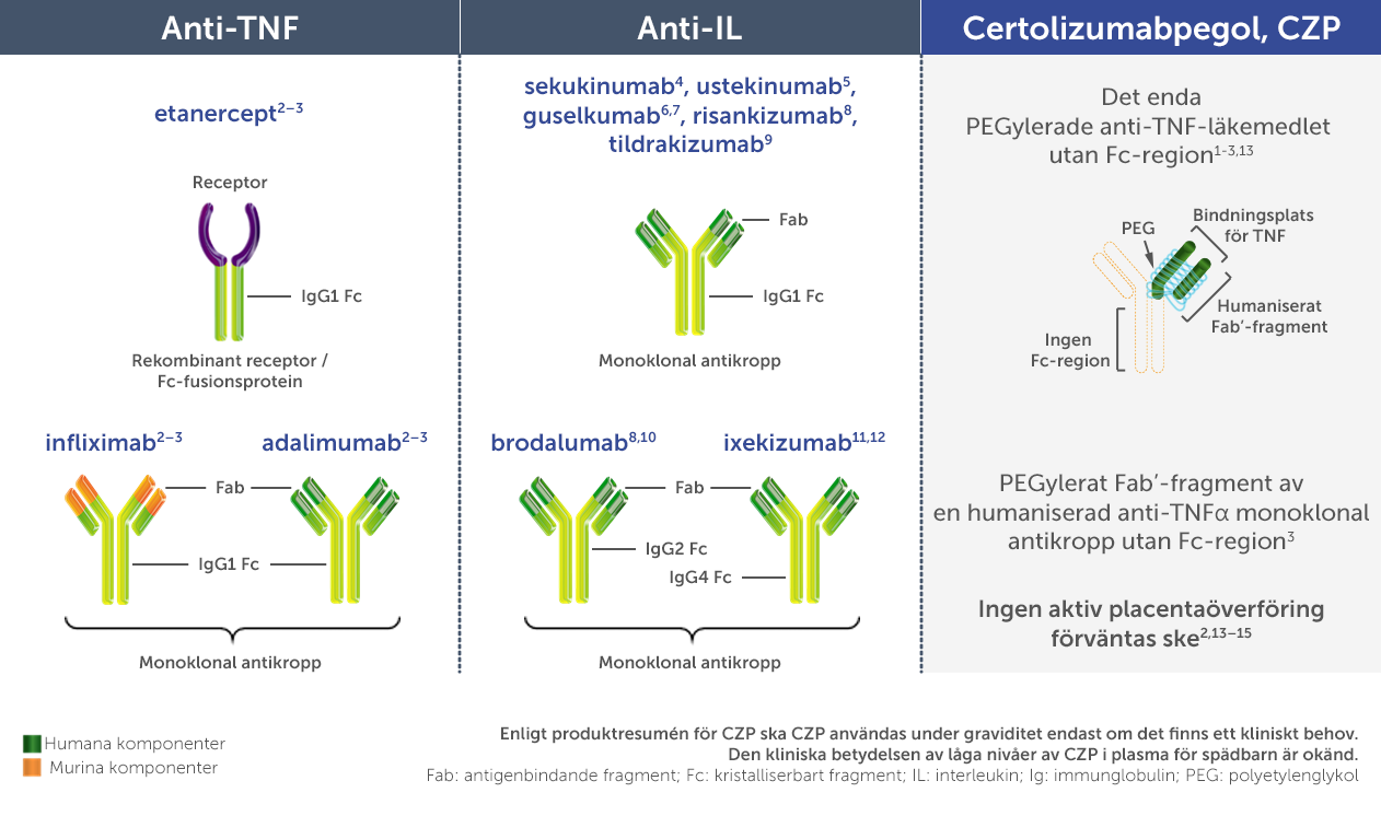 CZP Science - Molecular Structure CZP Fc-Free Structure - v10